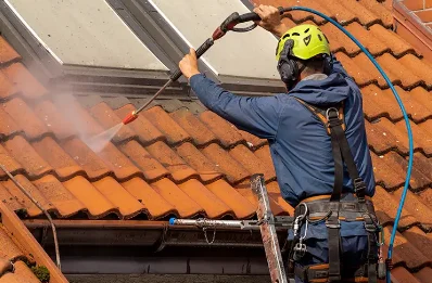 Démoussage et hydrofuge de toiture à la Grande-Fosse